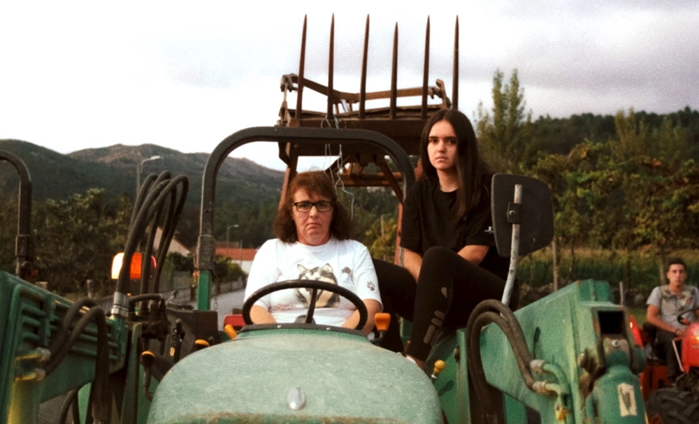 Proyección de 'La sabana y la montaña' en Pontevedra