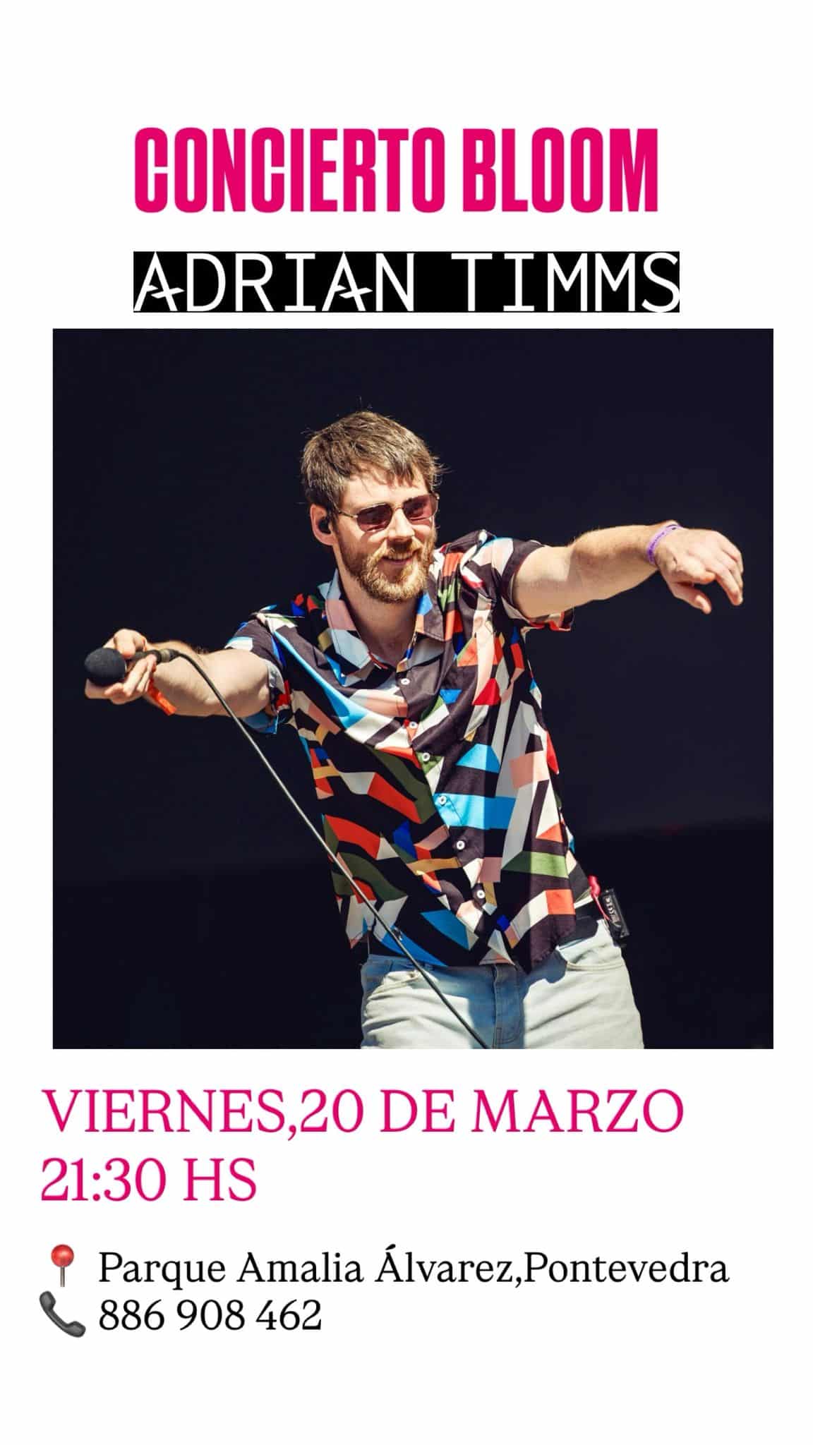 Concierto de Adrian Timms en Pontevedra