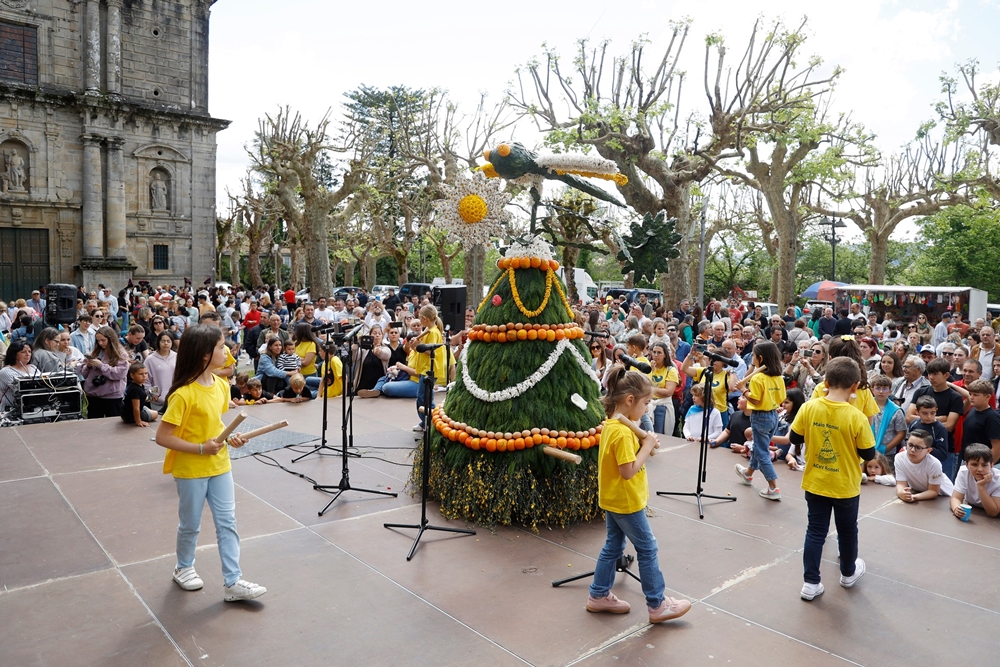 Festa dos Maios 2026 en Poio: Celebración de la Primavera