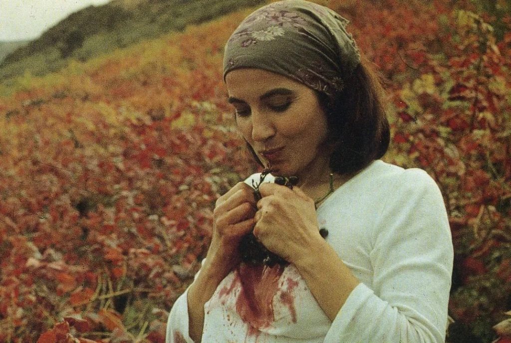 Jornadas de Cine y Coloquio sobre Chano Piñeiro en Marín