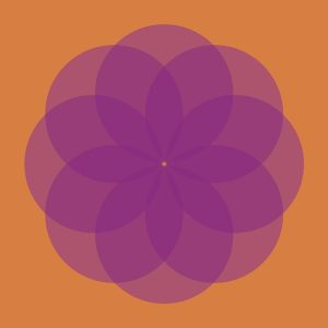 'Ola Primavera!': Taller sensorial 'Floreciendo juntas' en Pontevedra