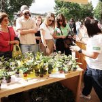 El Plant Fest florece en la Alameda de Pontevedra