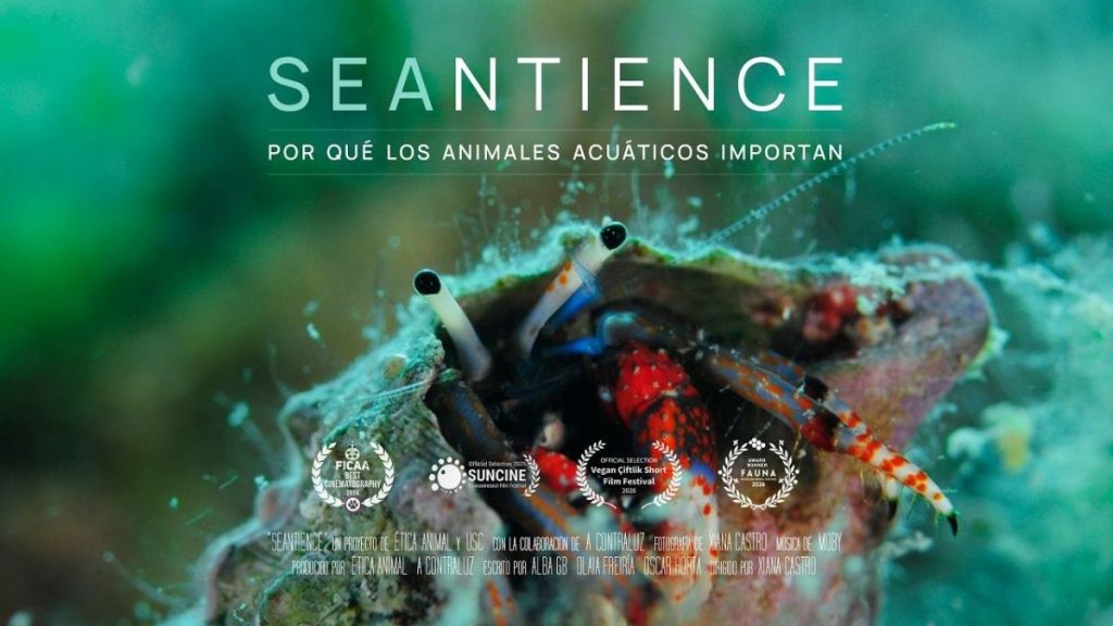 Proyección del documental Seantience y coloquio con Olaia Freiría en Pontevedra