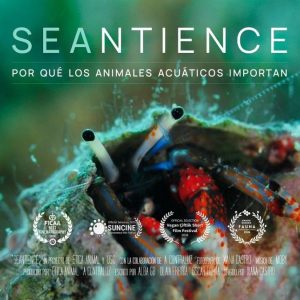 Proyección del documental Seantience y coloquio con Olaia Freiría en Pontevedra