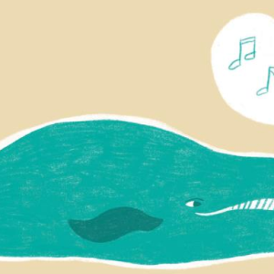 O canto de las ballenas: taller de verano en el Museo Massó de Bueu
