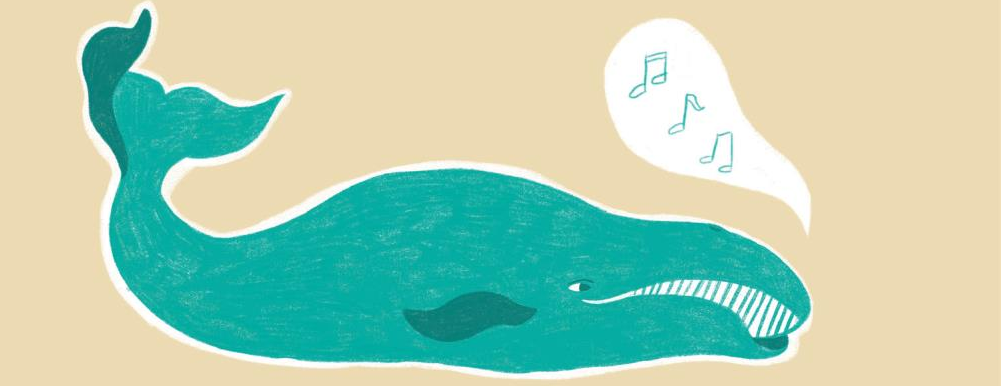 O canto de las ballenas: taller de verano en el Museo Massó de Bueu