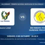 Teucro Lintel contra BM RIBEIRO RODOSA OURENSE PROVINCIA TERMAL