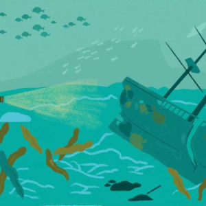 Talleres de verano en el Museo Massó: Los tesoros del galeón hundido en Bueu
