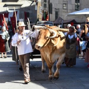 XXV Feira Franca de Pontevedra 2026: Las Tabernas