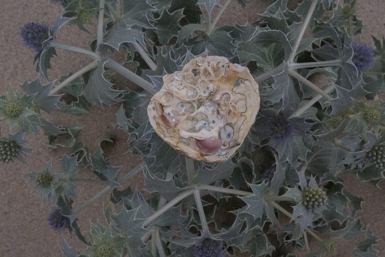 Exposición «Eu-mar», de Xan Vieito, en Pontevedra