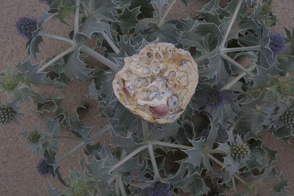 Exposición «Eu-mar», de Xan Vieito, en Pontevedra