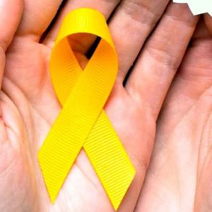 Jornada sobre prevención de la conducta suicida en Vilagarcía de Arousa
