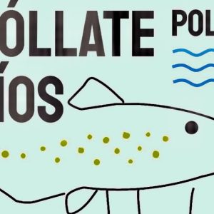 Limpieza simultánea del río Vadecorvos en Pontevedra