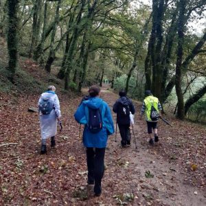 PonteAndada: ruta de senderismo por Xeve en Pontevedra