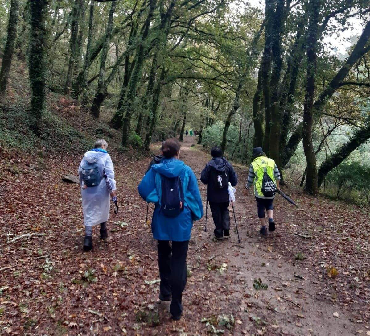PonteAndada: ruta de senderismo por Xeve en Pontevedra